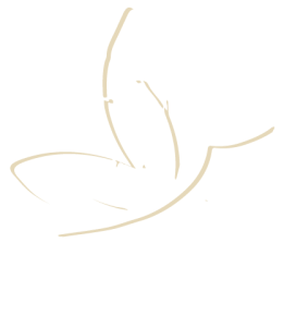 France Beauté Institut 43,42